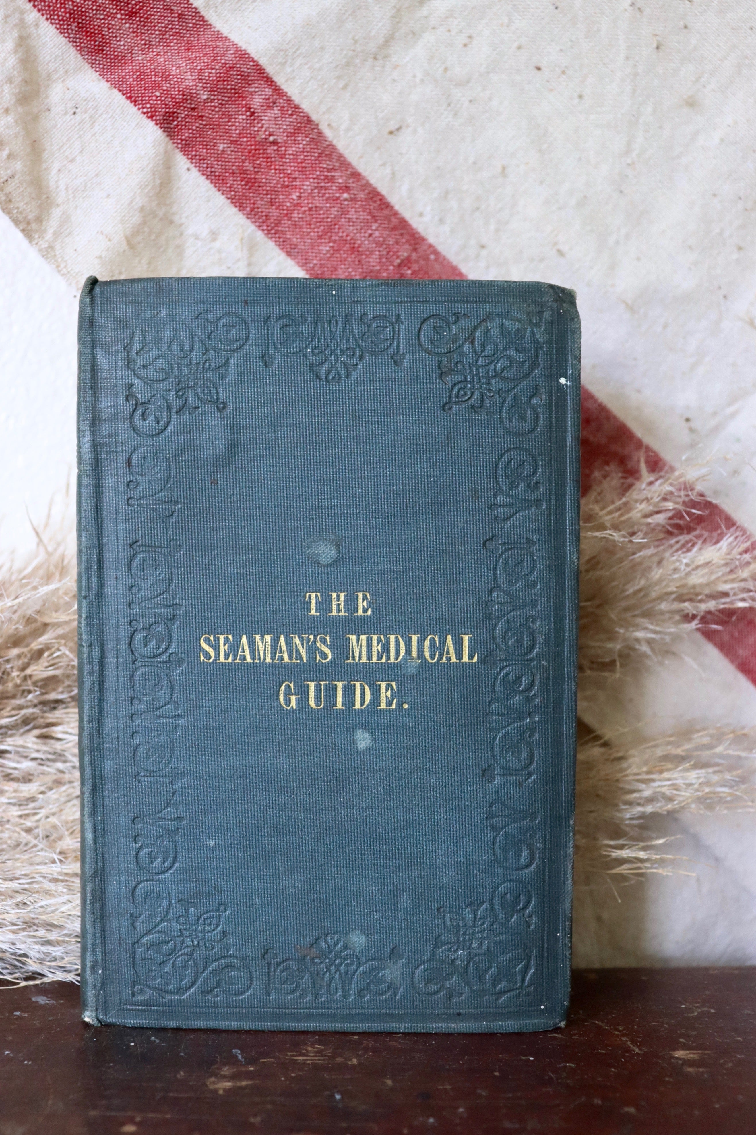 The Seaman's Medical Guide