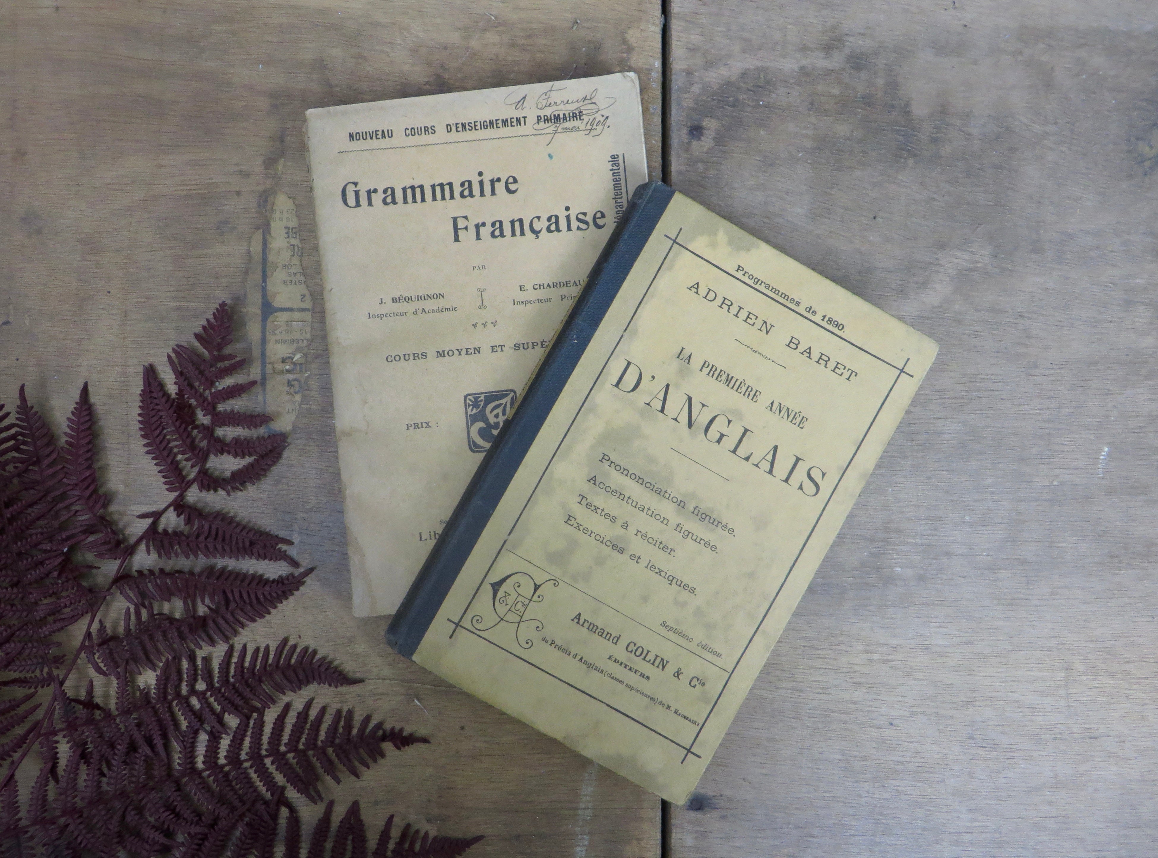 Antique French Grammar Books - 1890