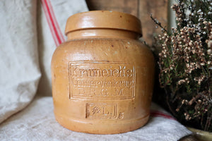 Antique Krumeich Conservenkrug Pot