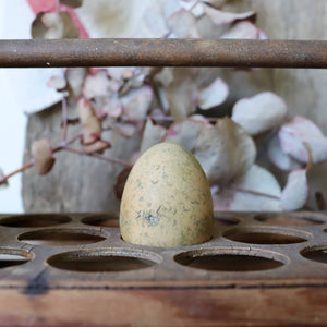 Antique Broody Eggs