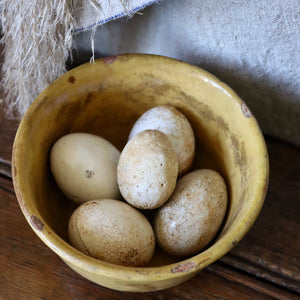 Antique Broody Eggs