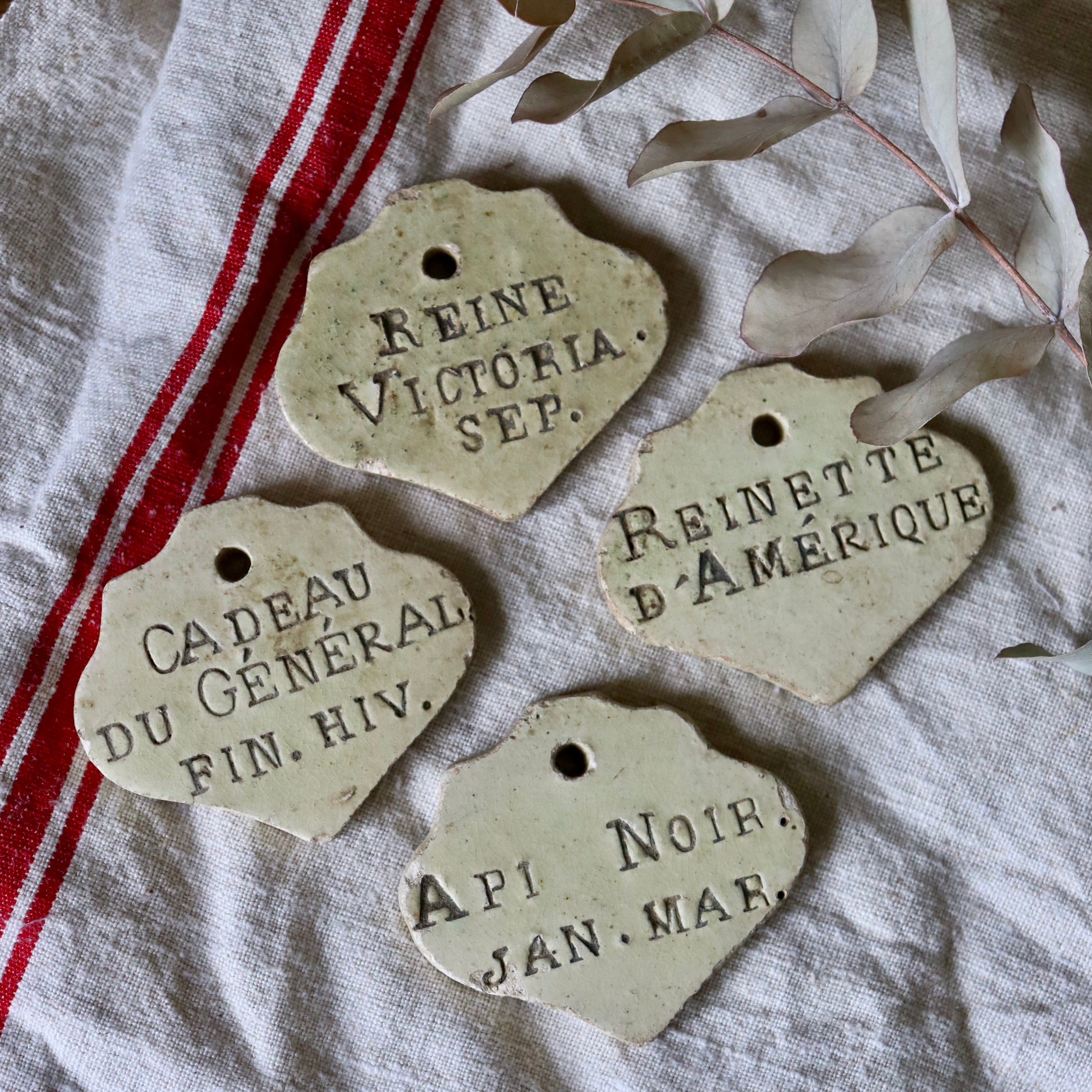 Antique French Ceramic Apple Tree Labels