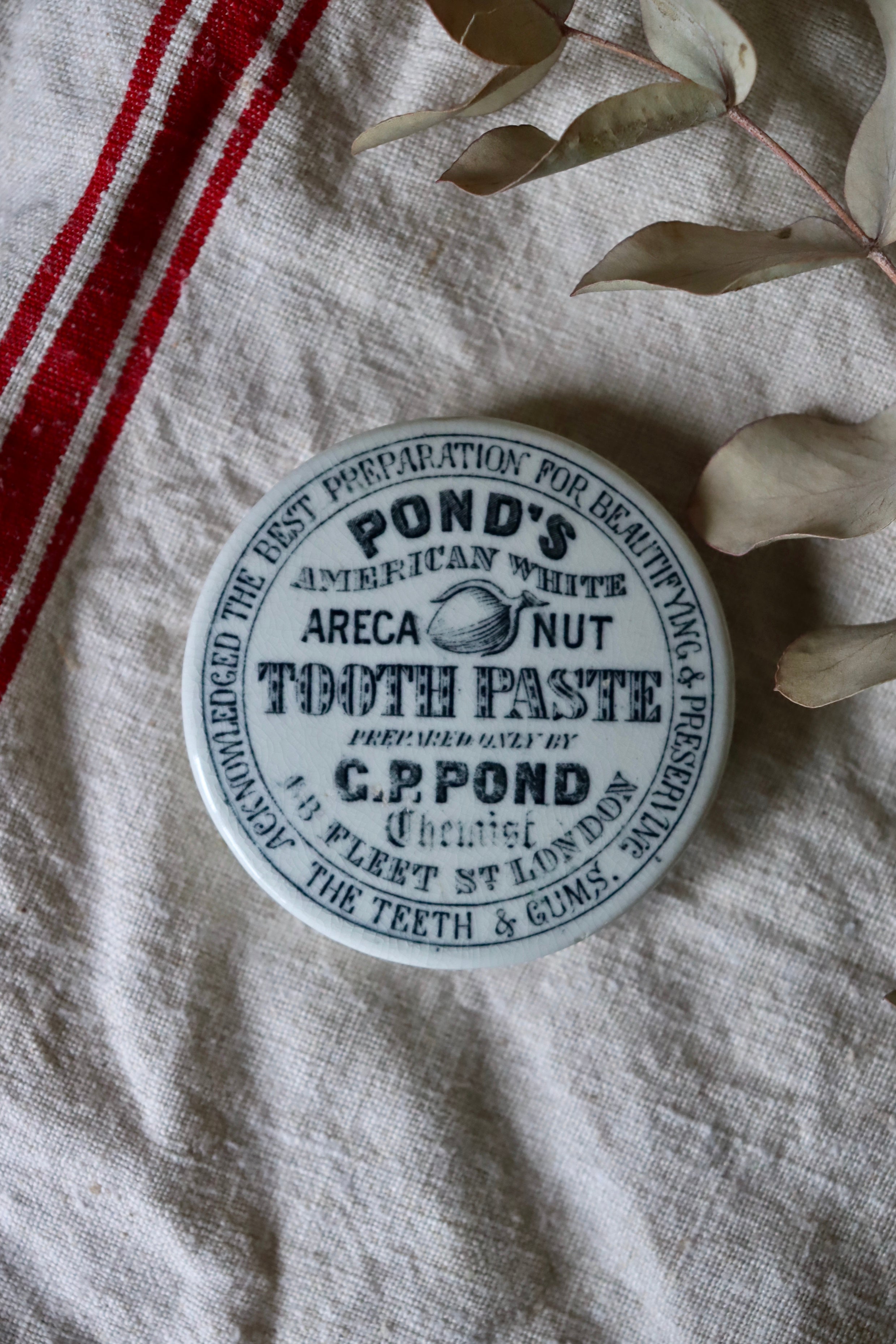 Antique Areca Nut Tooth Paste Pond's Chemist Pot Lid