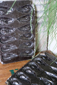 Belgian Chocolate Moulds - Shrimp Pattern