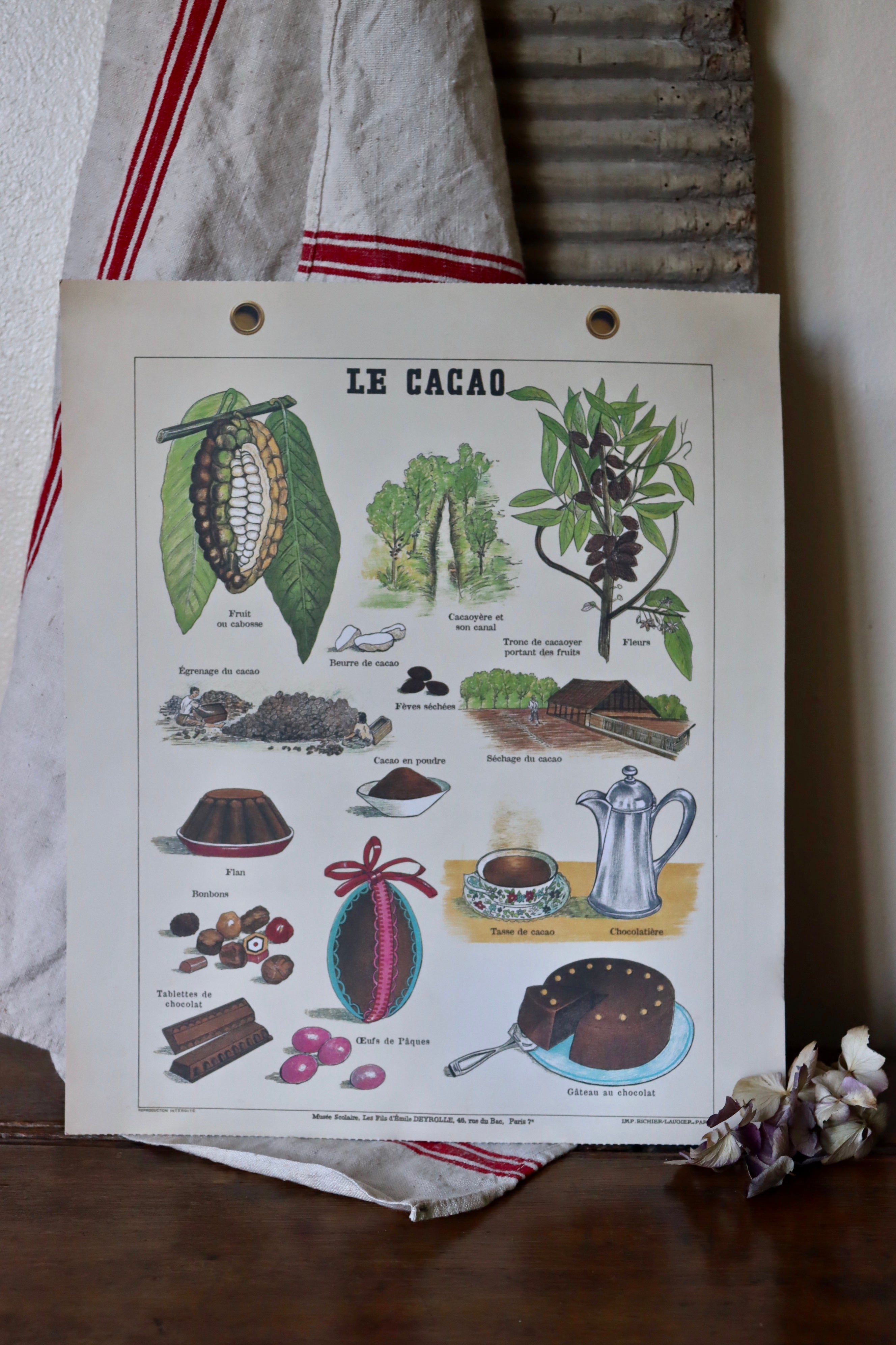 French Le Cacao Bookplate